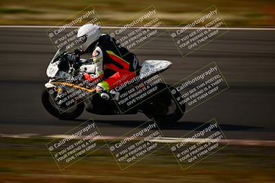 media/Feb-16-2024-CRA (Fri) [[3bc3e7055d]]/Group B/Session 7 (Turn 1)/